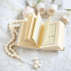 Tajweed Mastery